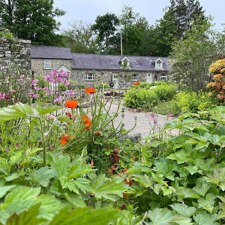 Crug Yr Eryr Isaf Villa Llandysul Eksteriør billede
